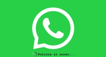 Whatsapp ti permette di svuotare il suo cestino dove si accumulano tanti file: recuperi molti giga sul cellulare